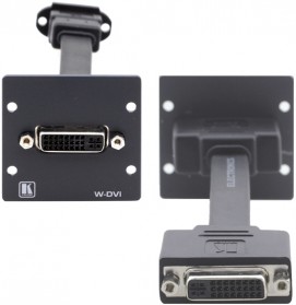W-DVI
